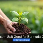 Is Epsom Salt Good for Bermuda Grass