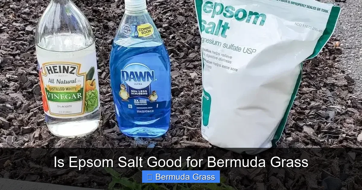 Is Epsom Salt Good for Bermuda Grass