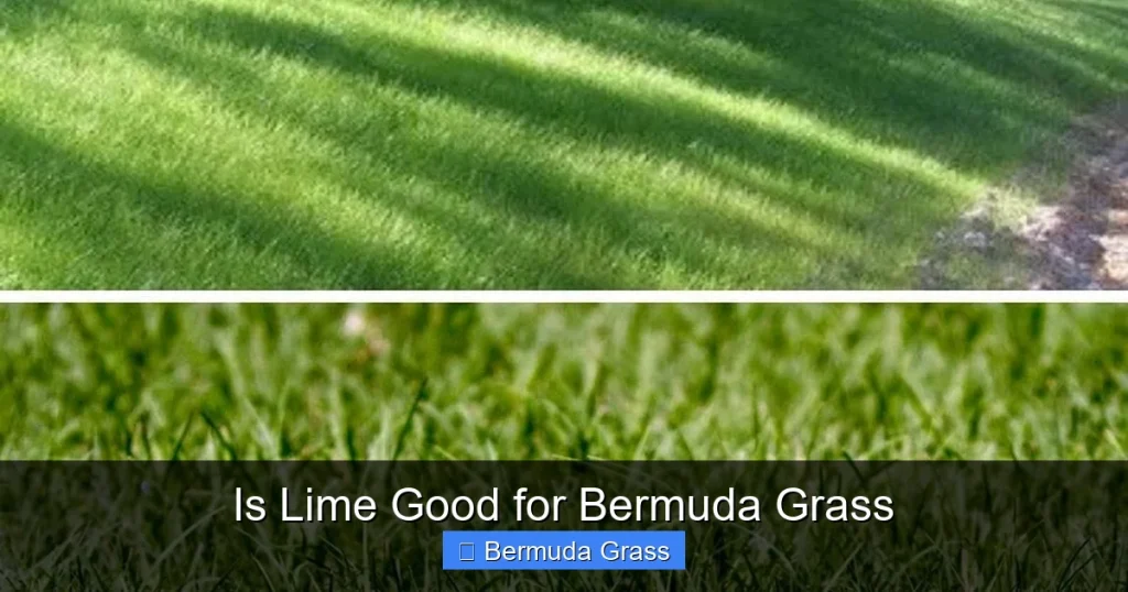 Is Lime Good for Bermuda Grass