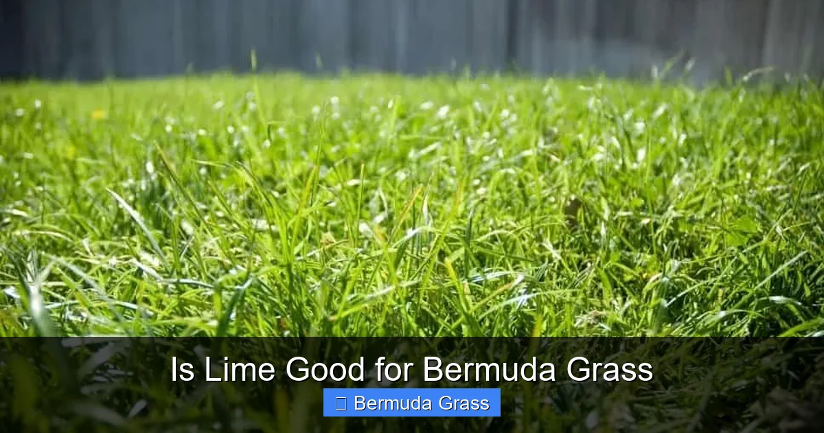 Is Lime Good for Bermuda Grass