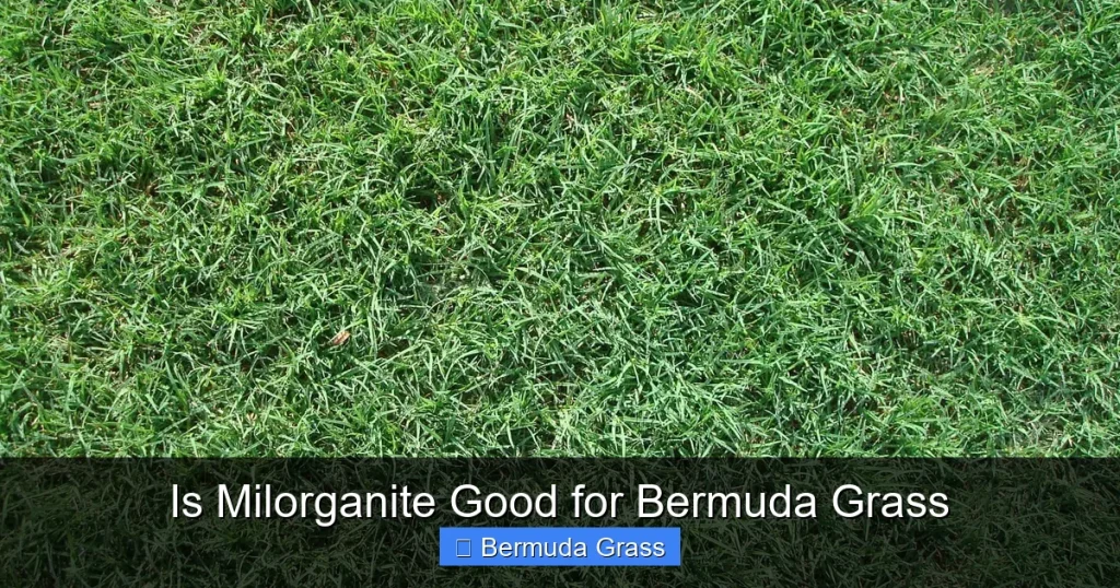 Is Milorganite Good for Bermuda Grass