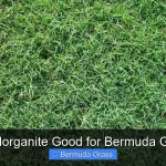 Is Milorganite Good for Bermuda Grass