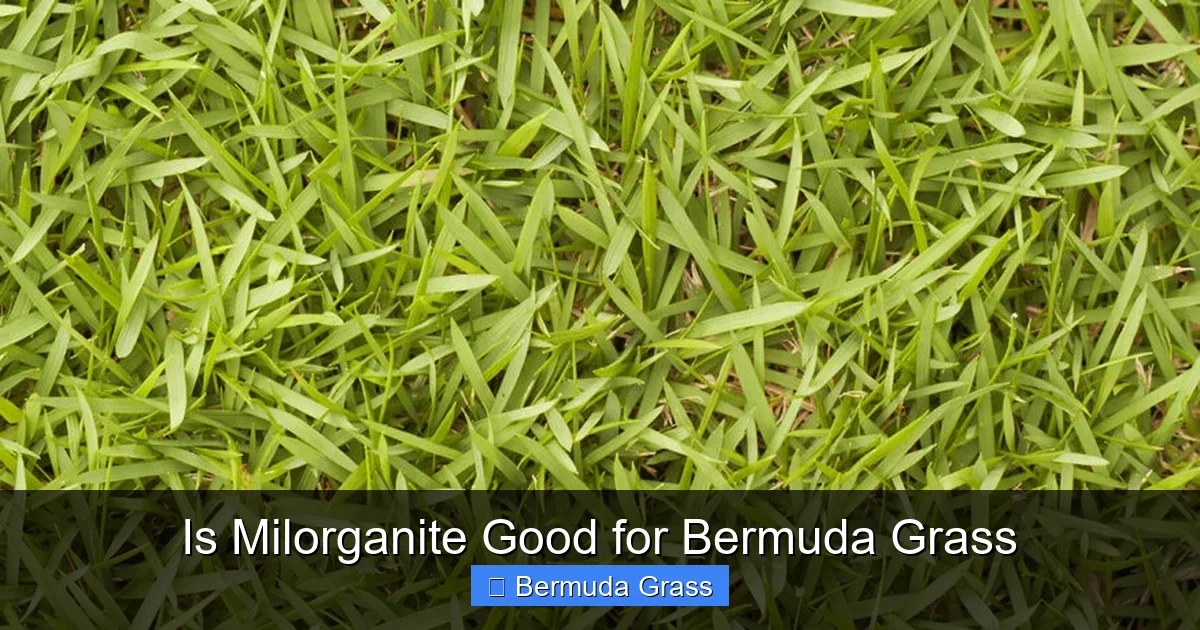 Is Milorganite Good for Bermuda Grass