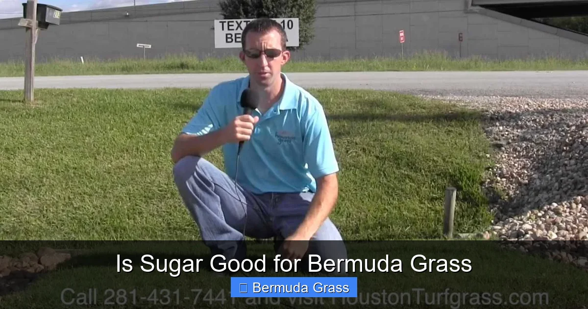 Is Sugar Good for Bermuda Grass