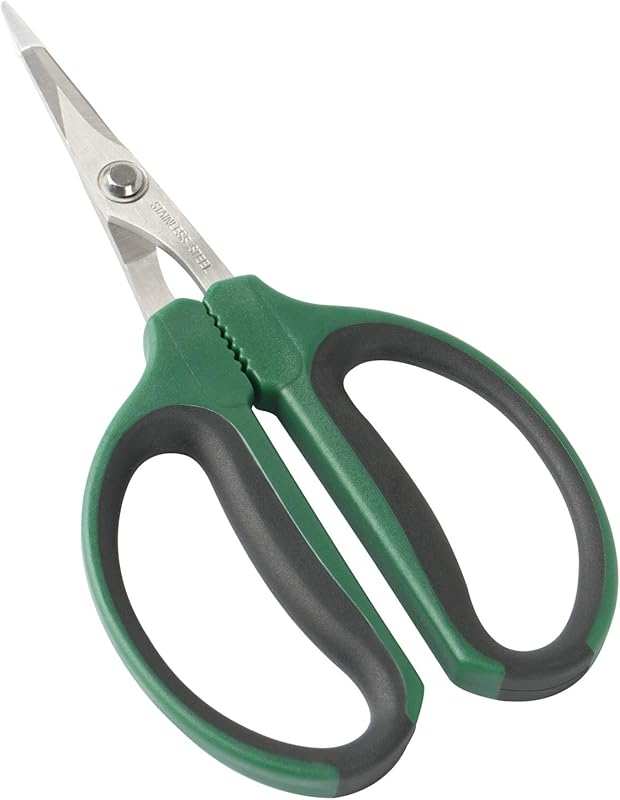 CastleGreens 6-inch Stainless Steel Bonsai Pruning Shears: Micro-Tip a