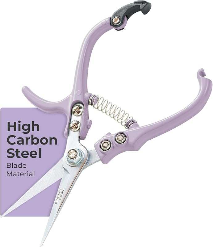 Modern Sprout Lightweight Pruning Shears for Herbs: Carbon Steel Blade