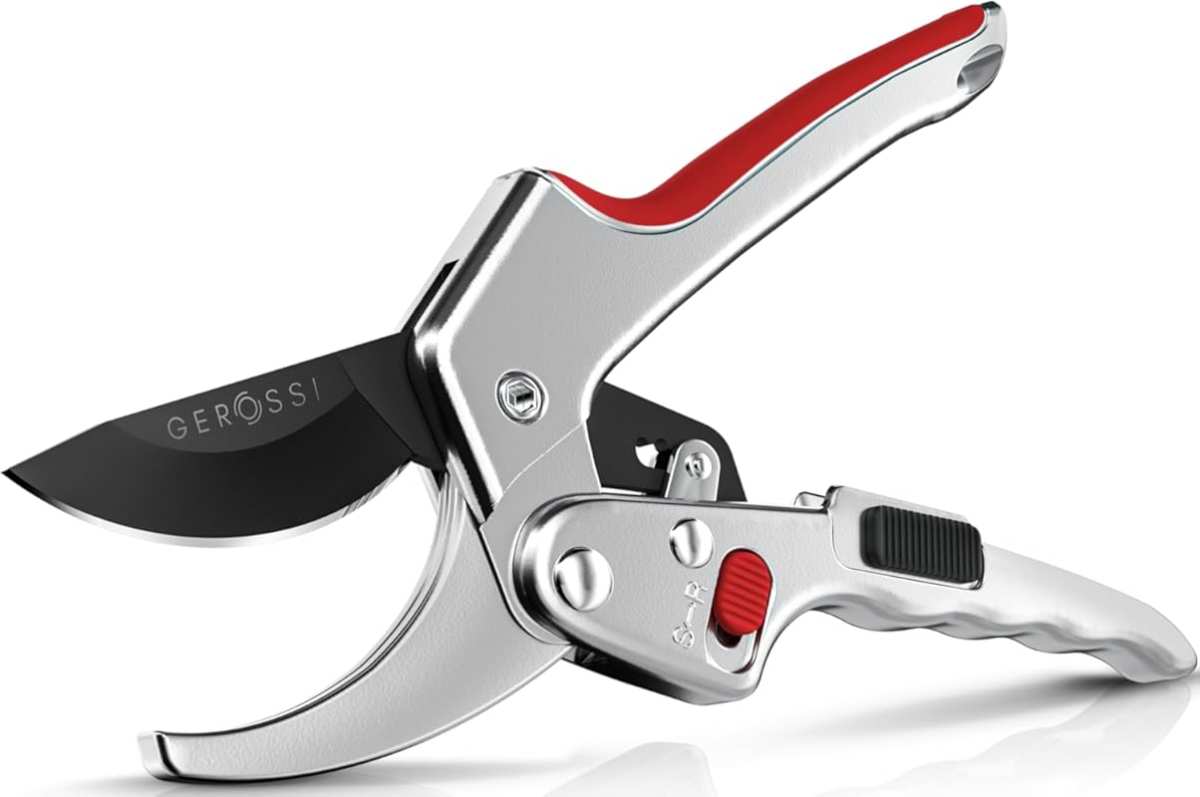 Best Ratchet Pruning Shears for Weak Hands & Arthritis: 3x Power, 8