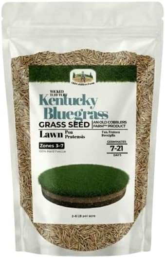 Old Cobblers Farm Wicked Tuff Kentucky Bluegrass Seed for Overseeding,