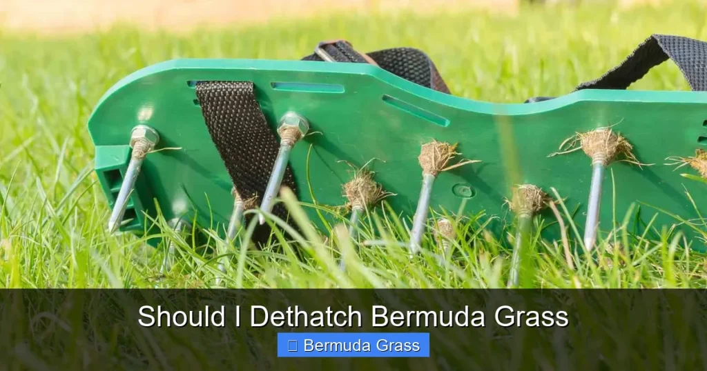 Should I Dethatch Bermuda Grass