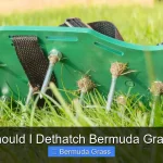 Should I Dethatch Bermuda Grass