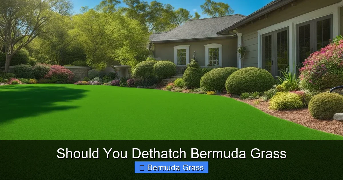 Should You Dethatch Bermuda Grass