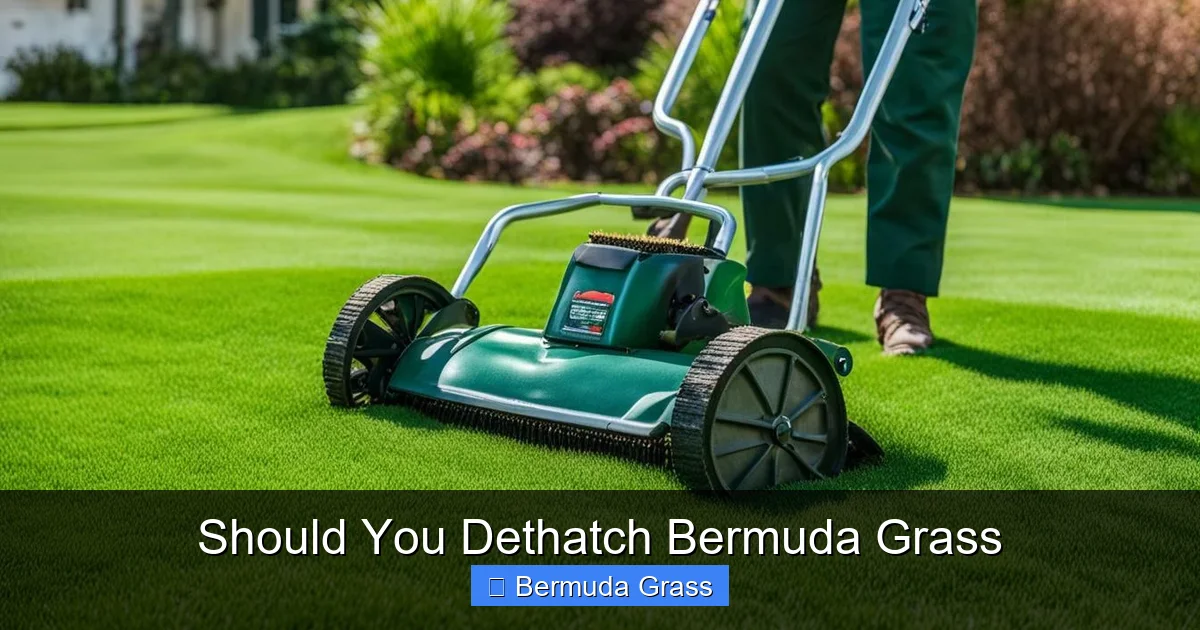 Should You Dethatch Bermuda Grass