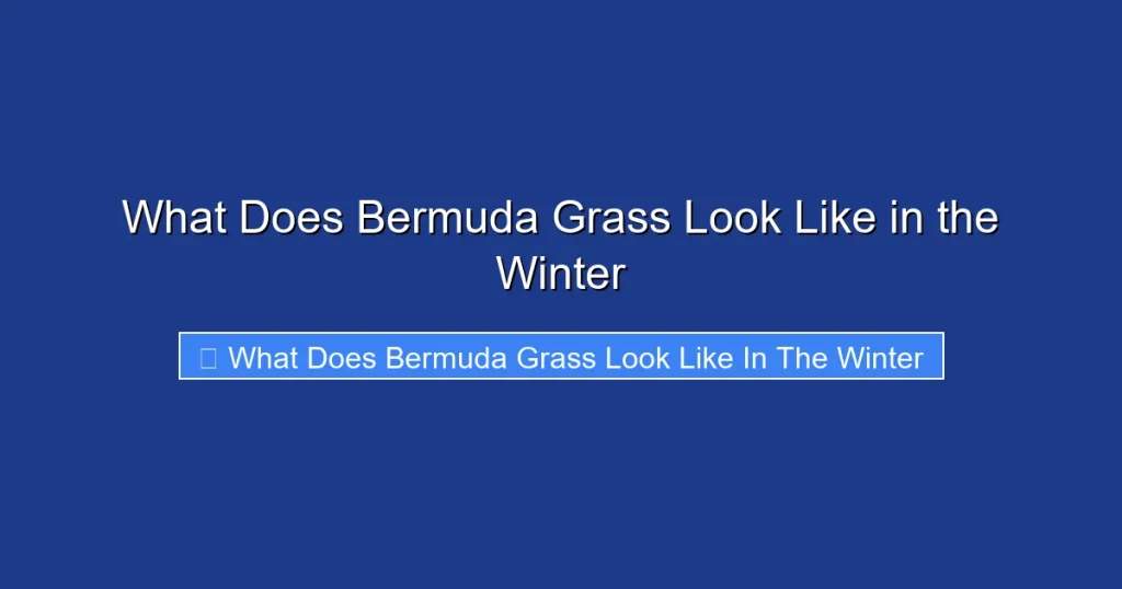 What Does Bermuda Grass Look Like in the Winter