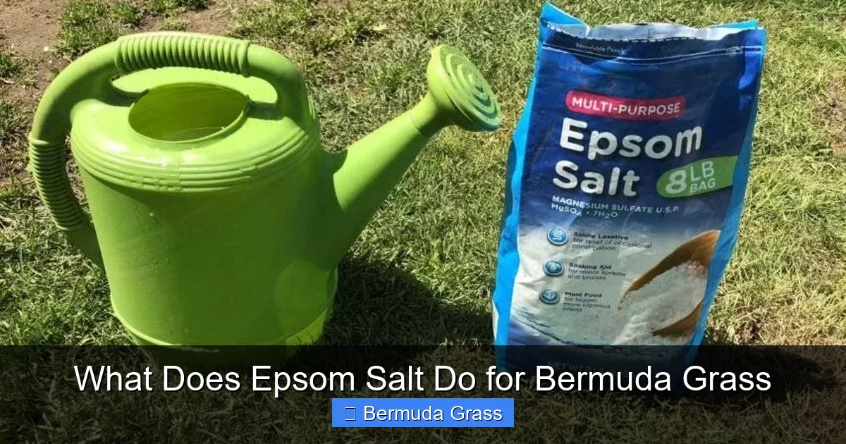 What Does Epsom Salt Do for Bermuda Grass