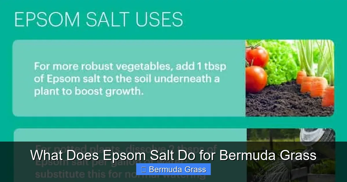 What Does Epsom Salt Do for Bermuda Grass