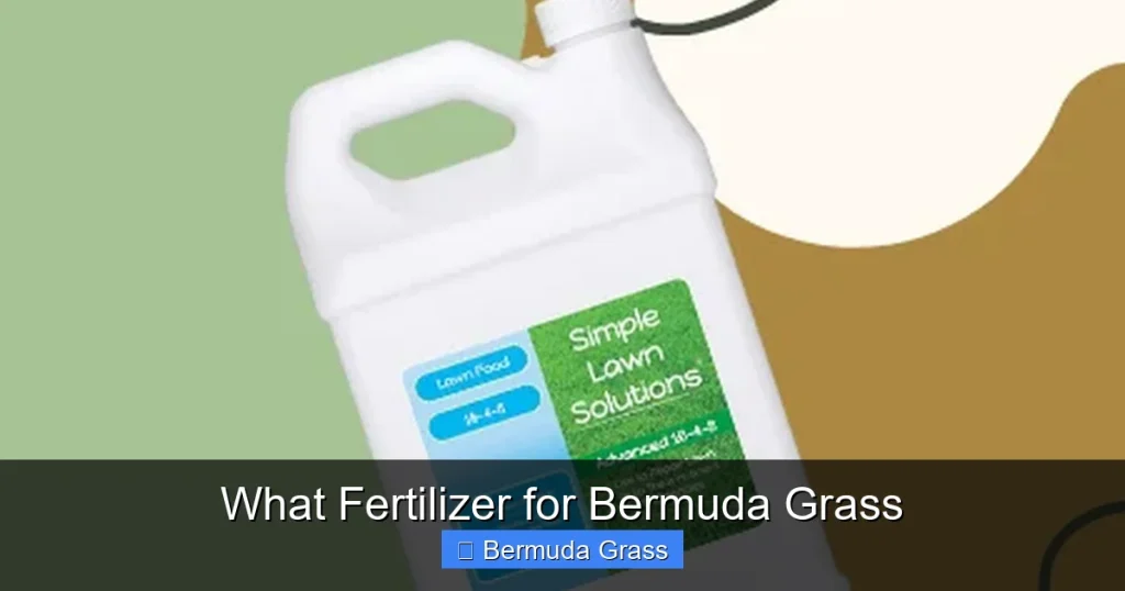 What Fertilizer for Bermuda Grass