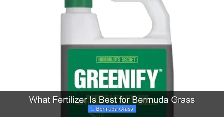 What Fertilizer Is Best for Bermuda Grass