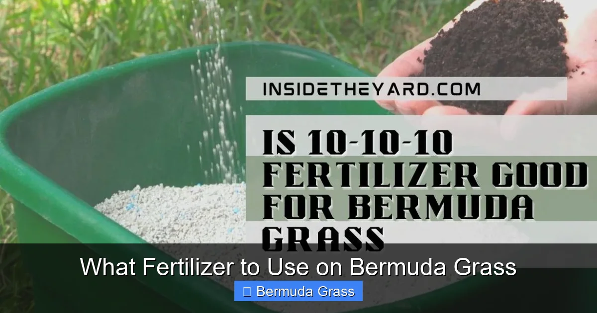 What Fertilizer to Use on Bermuda Grass
