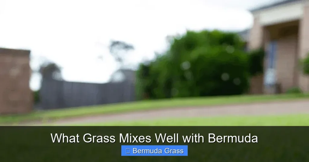 What Grass Mixes Well with Bermuda
