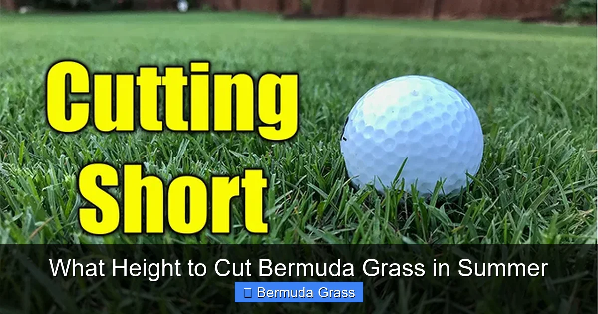 What Height to Cut Bermuda Grass in Summer