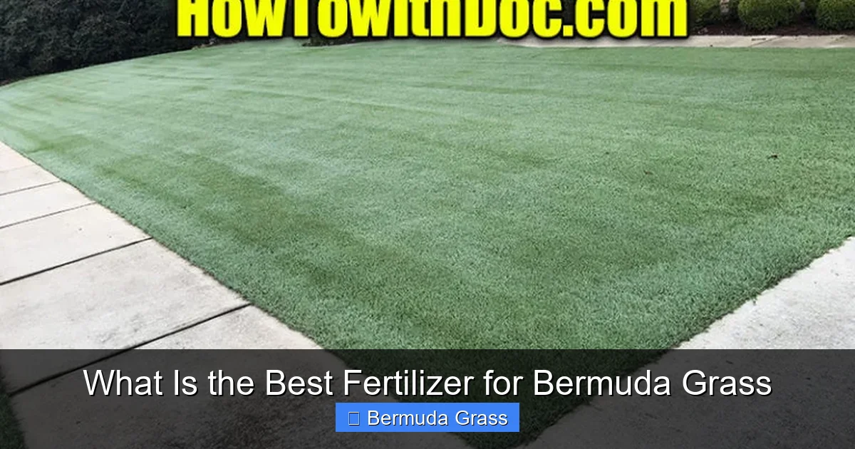 What Is the Best Fertilizer for Bermuda Grass