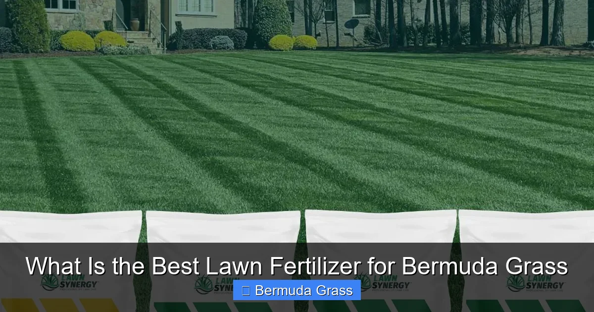 What Is the Best Lawn Fertilizer for Bermuda Grass