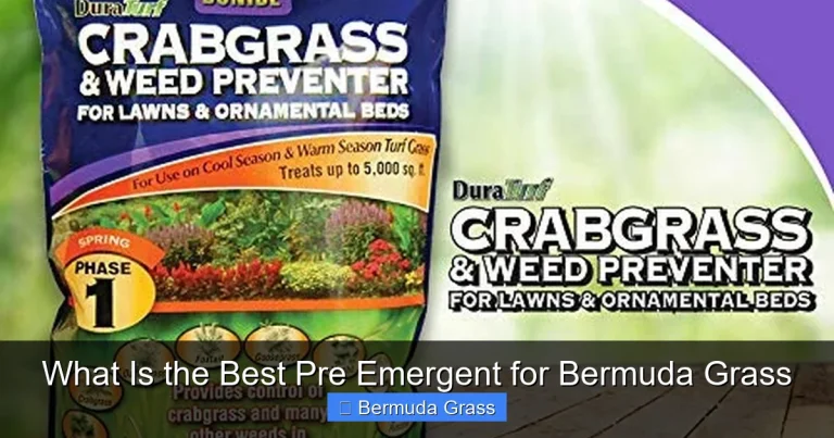 What Is the Best Pre Emergent for Bermuda Grass