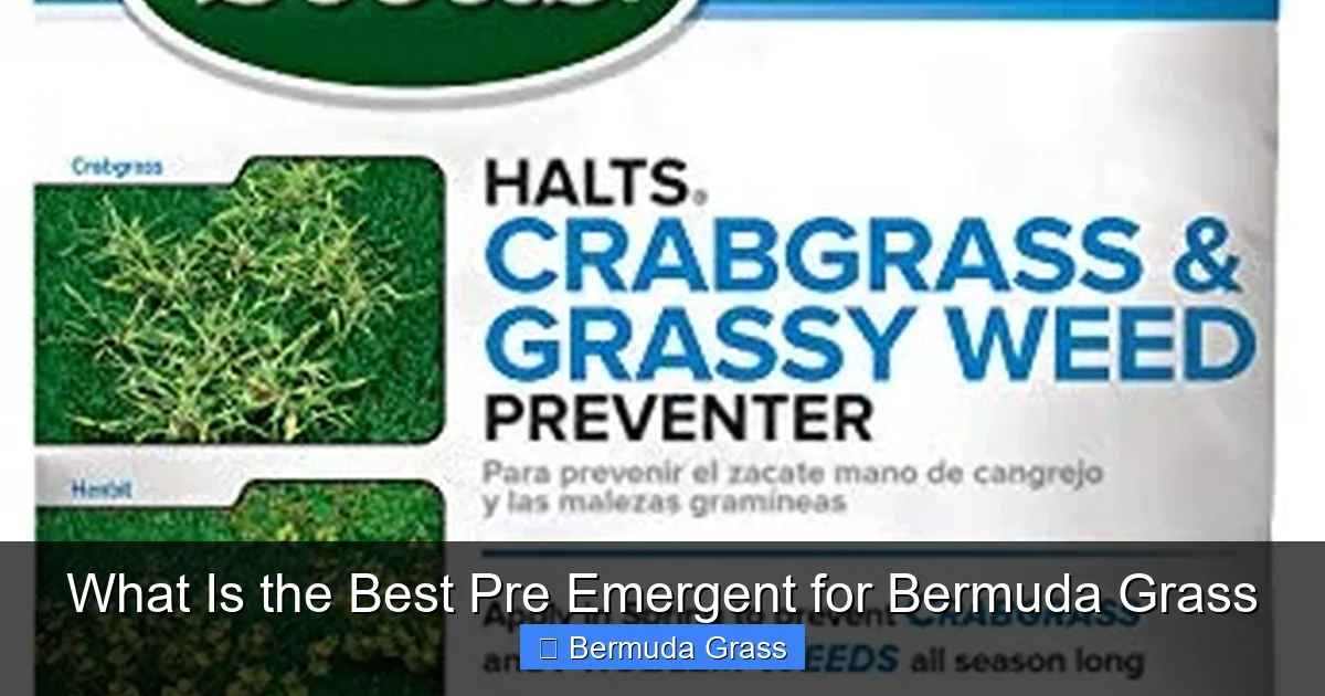 What Is the Best Pre Emergent for Bermuda Grass
