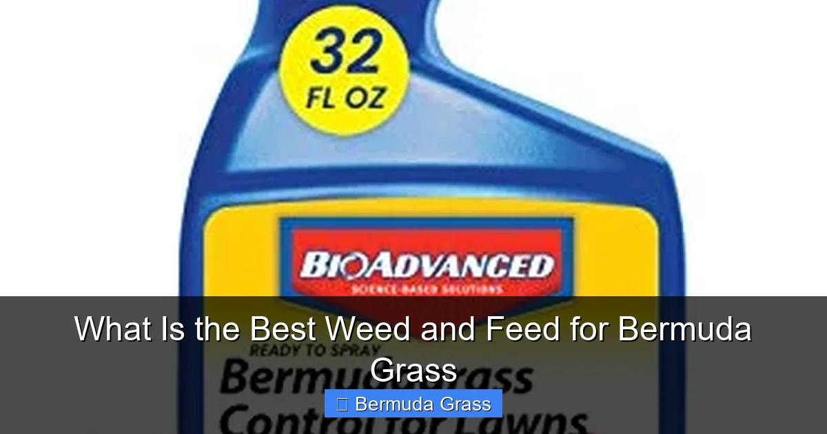 What Is the Best Weed and Feed for Bermuda Grass