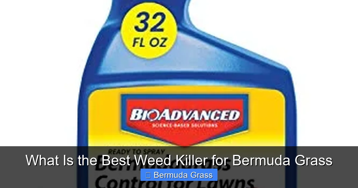What Is the Best Weed Killer for Bermuda Grass