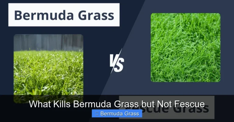 What Kills Bermuda Grass but Not Fescue