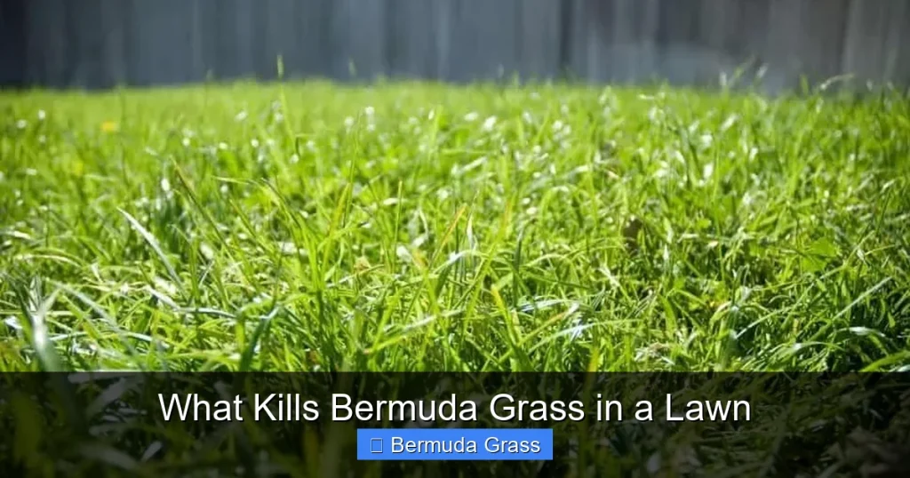What Kills Bermuda Grass in a Lawn