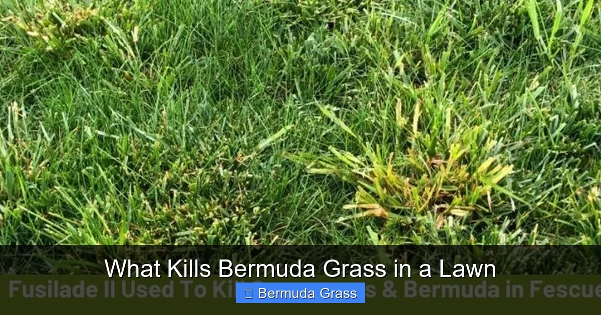 What Kills Bermuda Grass in a Lawn