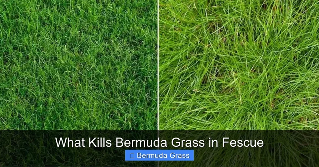 What Kills Bermuda Grass in Fescue