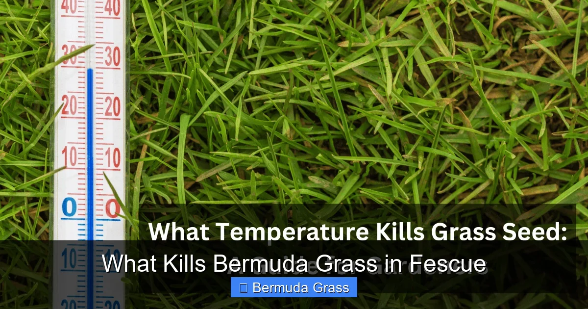 What Kills Bermuda Grass in Fescue