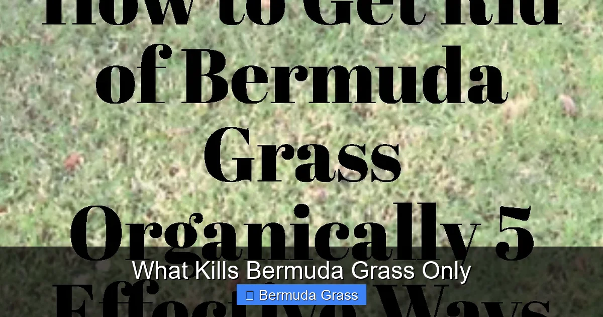 What Kills Bermuda Grass Only