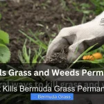 What Kills Bermuda Grass Permanently