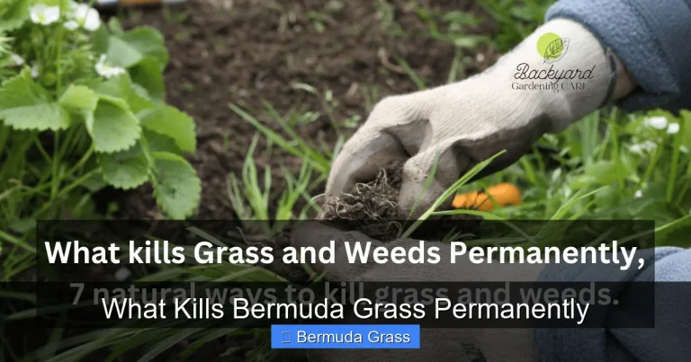 What Kills Bermuda Grass Permanently