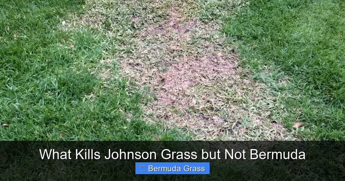 What Kills Johnson Grass but Not Bermuda