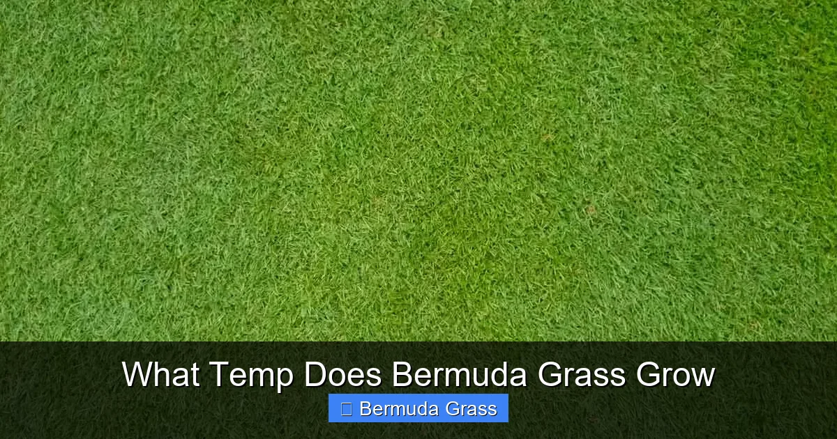 What Temp Does Bermuda Grass Grow