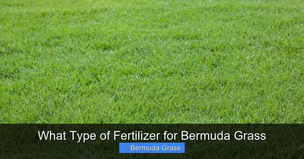 What Type of Fertilizer for Bermuda Grass