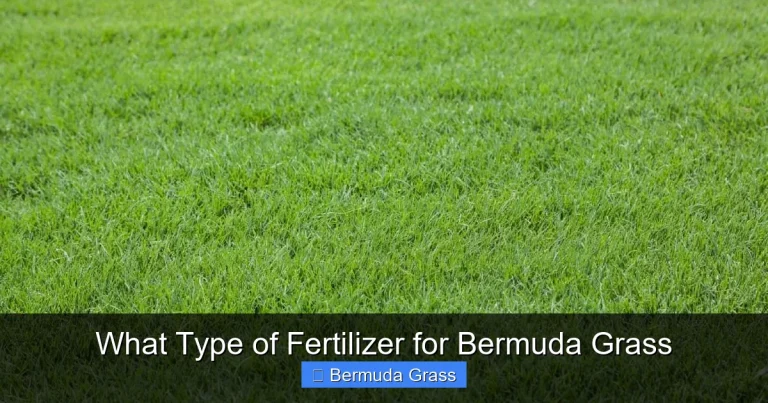 What Type of Fertilizer for Bermuda Grass