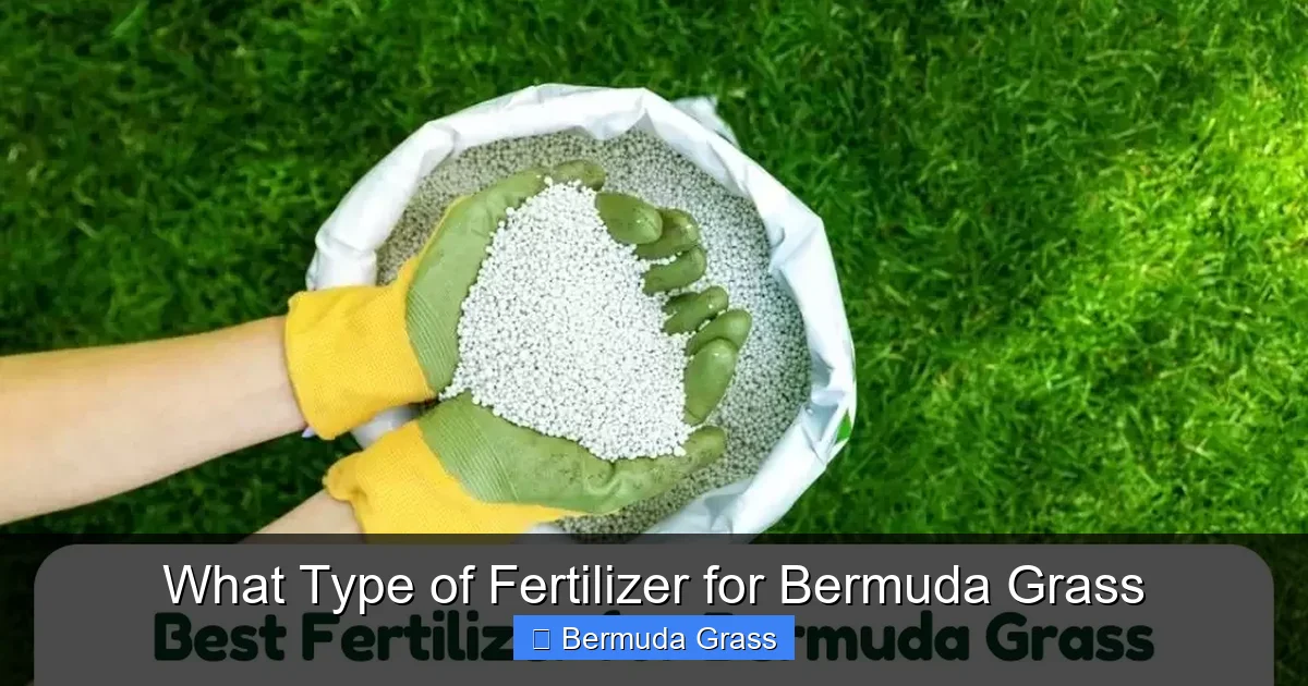 What Type of Fertilizer for Bermuda Grass