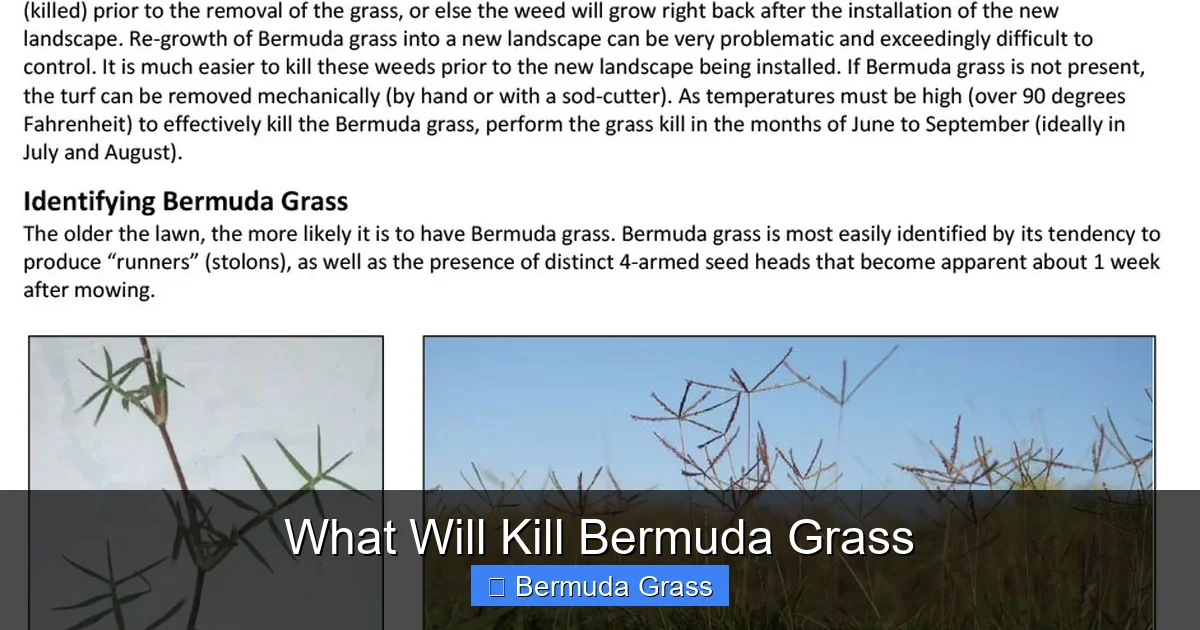 What Will Kill Bermuda Grass