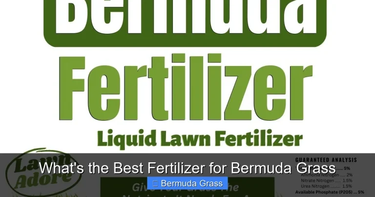 What's the Best Fertilizer for Bermuda Grass