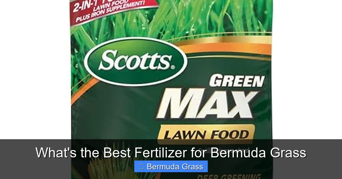 What's the Best Fertilizer for Bermuda Grass