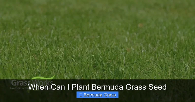 When Can I Plant Bermuda Grass Seed