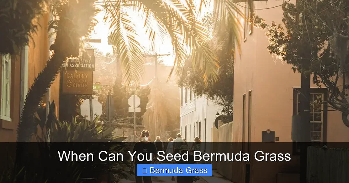 When Can You Seed Bermuda Grass