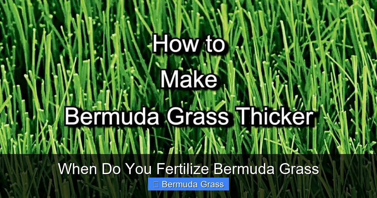 When Do You Fertilize Bermuda Grass