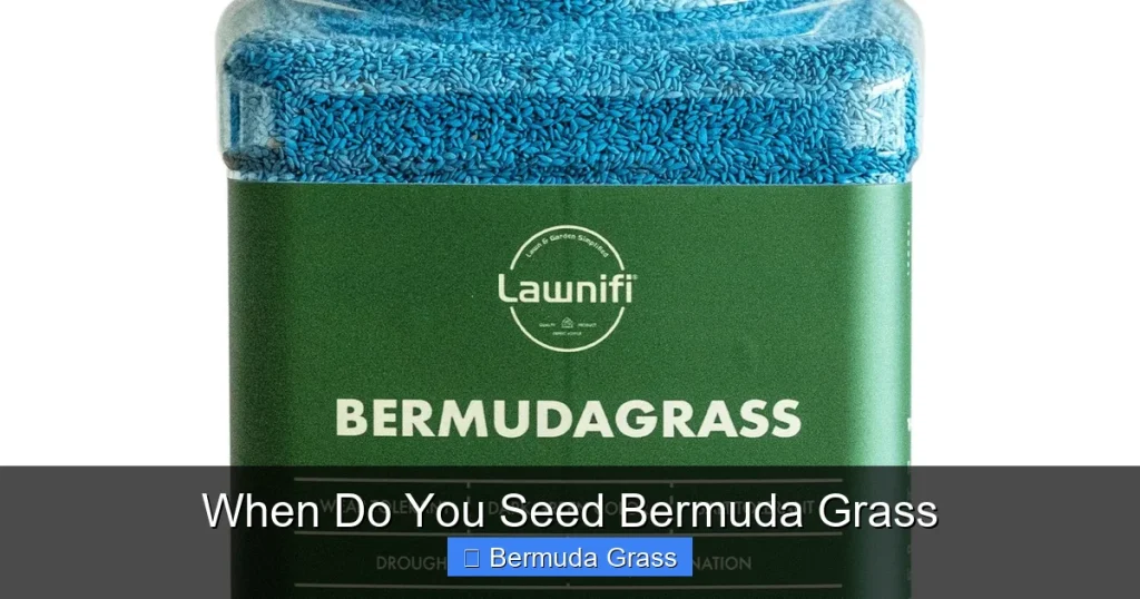 When Do You Seed Bermuda Grass